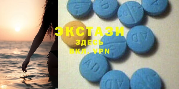 ECSTASY Алзамай